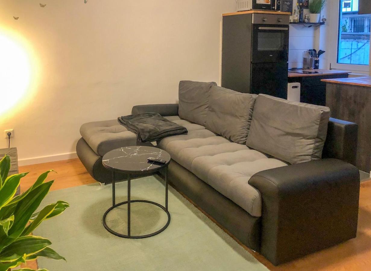Gruene Oase Mit Balkon I Eg Apartment Дуйсбург Екстериор снимка